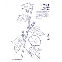 【販売終了】おてほんくん(植物)